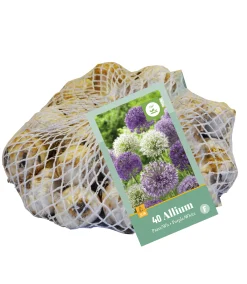 ohgreen Bloembollen|Ecocheques|40 allium paars-wit