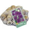 ohgreen Bloembollen|Ecocheques|40 allium purple rain