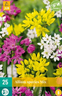 ohgreen Bloembollen|Ecocheques|25 allium species mix