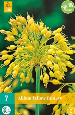 ohgreen Bloembollen|Ecocheques|7 allium yellow fantasy