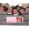 ohgreen Bloembollen|Ecocheques|1 amaryllis rood-wit