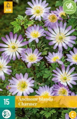 ohgreen Bloembollen|Ecocheques|15 anemone bl. charmer