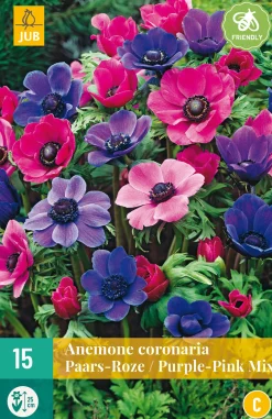 ohgreen Bloembollen|Ecocheques|15 bloembollen anemone coronaria paars-roze mix