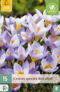 ohgreen Ecocheques|Bloembollen|15 bloembollen crocus rosalind