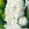 ohgreen Ecocheques|Bloembollen|3 bloembollen hyacinthus dubbel wit