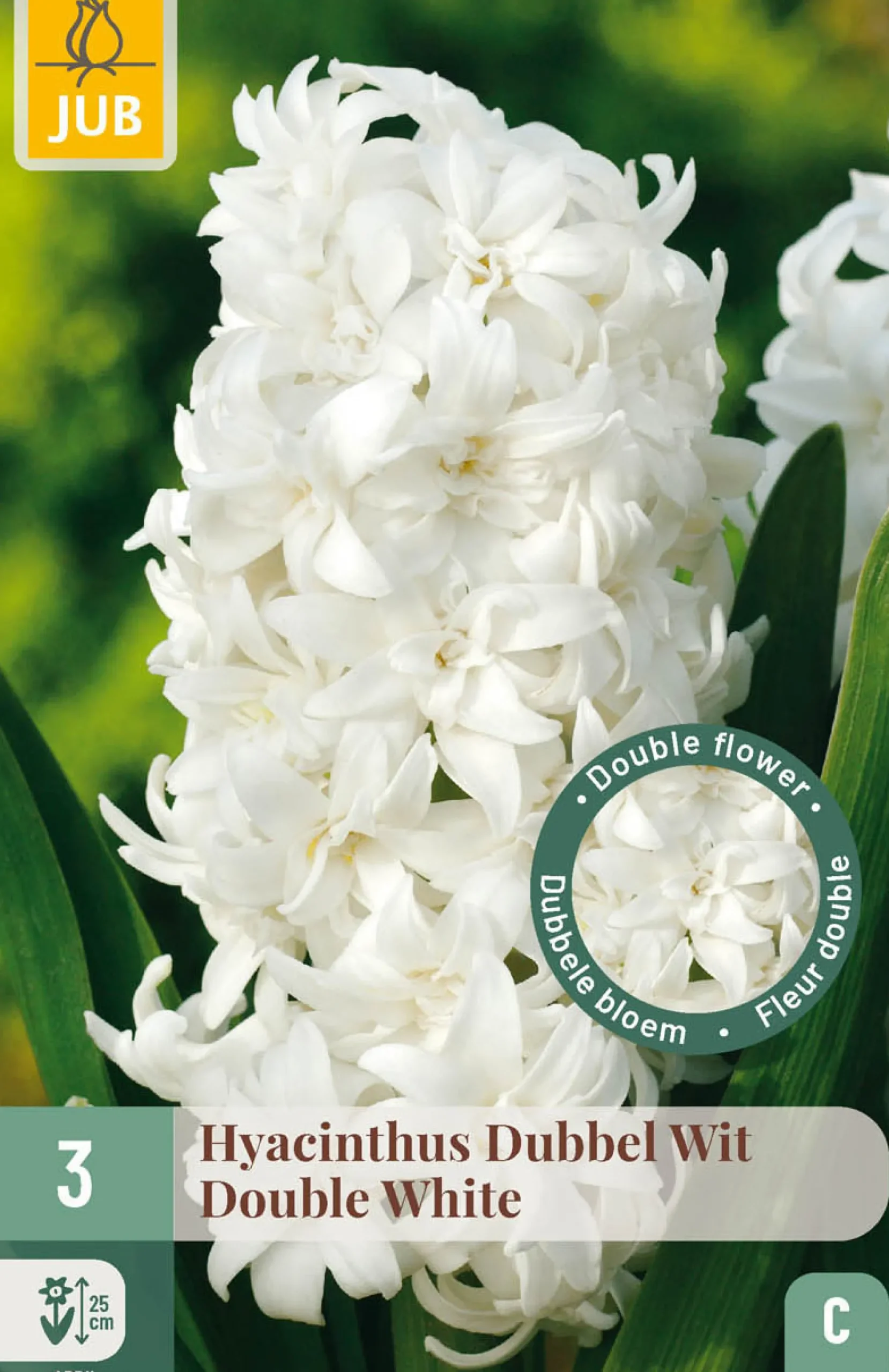 ohgreen Ecocheques|Bloembollen|3 bloembollen hyacinthus dubbel wit
