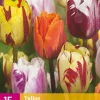 ohgreen Bloembollen|Ecocheques|15 bloembollen tulipa flaming beauty mix