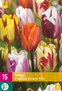 ohgreen Bloembollen|Ecocheques|15 bloembollen tulipa flaming beauty mix
