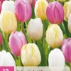 ohgreen Bloembollen|Ecocheques|12 bloembollen tulipa sorbet mix