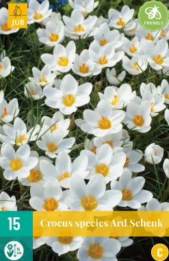ohgreen Bloembollen|Ecocheques|15 crocus ard schenk