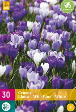 ohgreen Bloembollen|Ecocheques|30 crocus blauw-wit