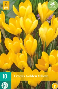 ohgreen Bloembollen|Ecocheques|10 crocus golden yellow