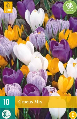 ohgreen Bloembollen|Ecocheques|10 crocus grootbloemig mix