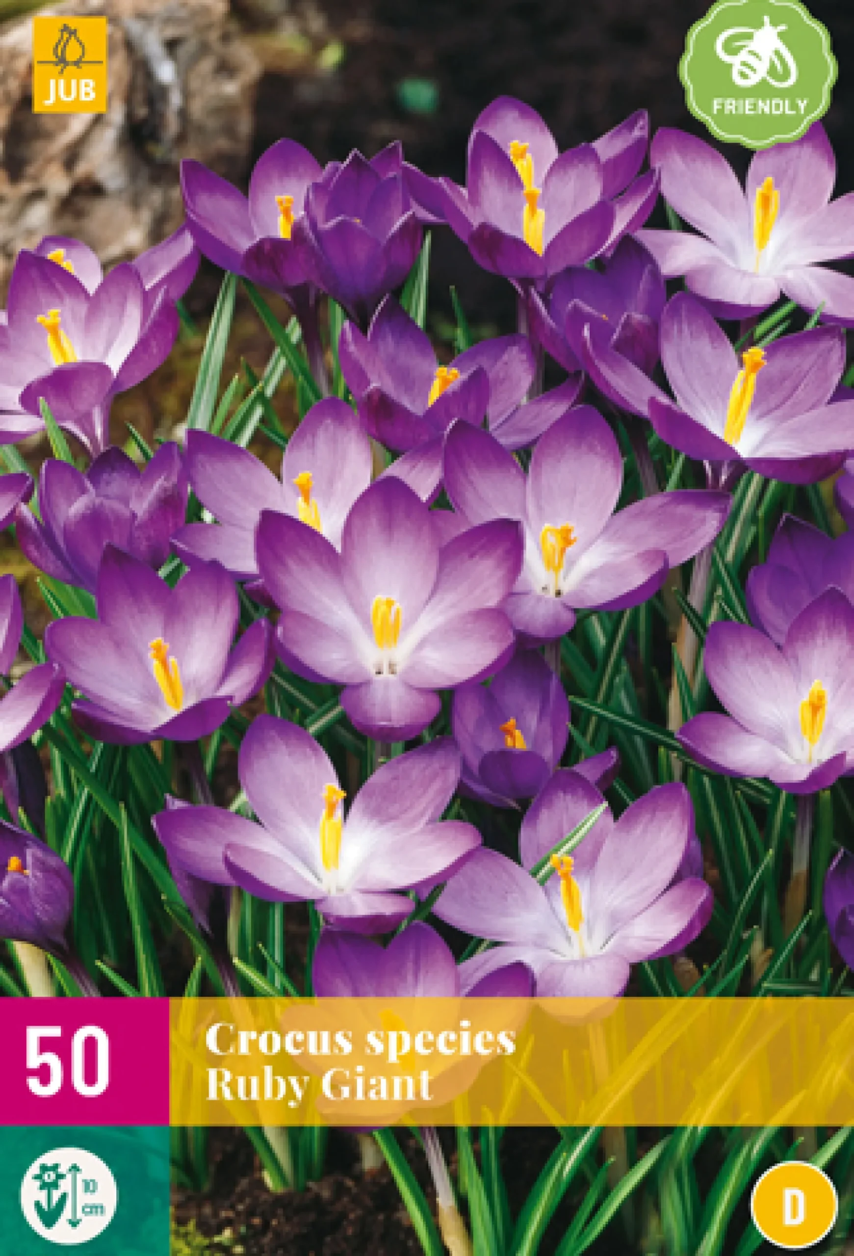 ohgreen Bloembollen|Ecocheques|50 crocus species ruby giant