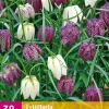 ohgreen Bloembollen|Ecocheques|30 fritillaria meleagris mix