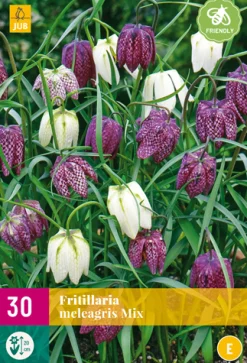 ohgreen Bloembollen|Ecocheques|30 fritillaria meleagris mix