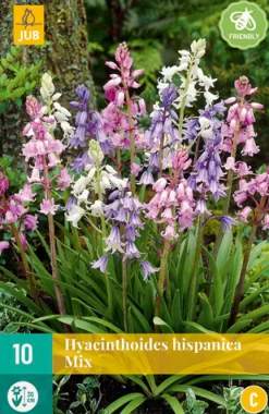 ohgreen Bloembollen|Ecocheques|10 hyacinthoides hisp. mix