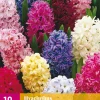 ohgreen Bloembollen|Ecocheques|10 hyacinthus mix