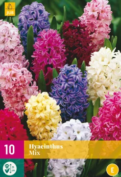 ohgreen Bloembollen|Ecocheques|10 hyacinthus mix