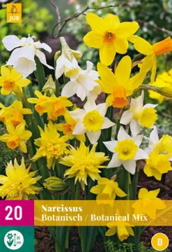 ohgreen Bloembollen|Ecocheques|20 narcissus botanical mix