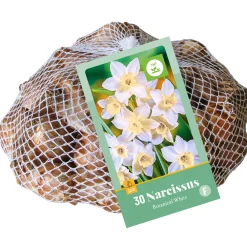 ohgreen Bloembollen|Ecocheques|30 narcissus botanisch wit