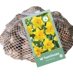 ohgreen Bloembollen|Ecocheques|40 narcissus geel