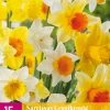 ohgreen Bloembollen|Ecocheques|15 narcissus grootkronig mix