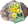ohgreen Bloembollen|Ecocheques|40 narcissus mix