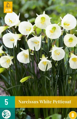 ohgreen Bloembollen|Ecocheques|5 narcissus white petticoat