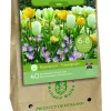 ohgreen Bloembollen|Ecocheques|1 tas folklore tim