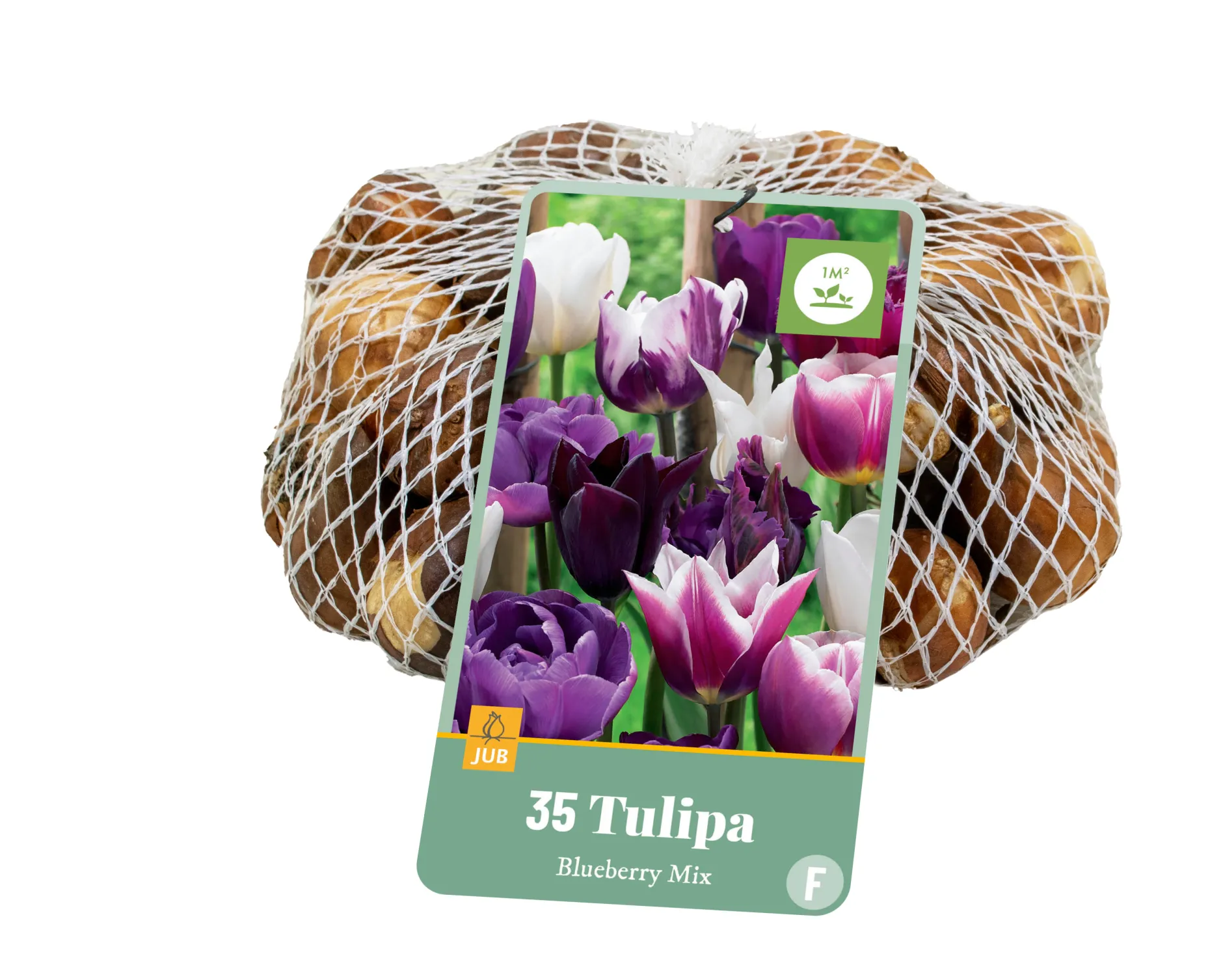 ohgreen Bloembollen|Ecocheques|35 tulipa blueberry mix