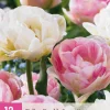 ohgreen Bloembollen|Ecocheques|12 tulipa double sensation