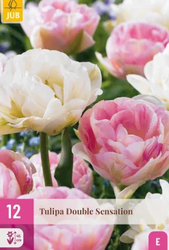 ohgreen Bloembollen|Ecocheques|12 tulipa double sensation