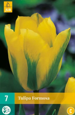 ohgreen Bloembollen|Ecocheques|7 tulipa formosa
