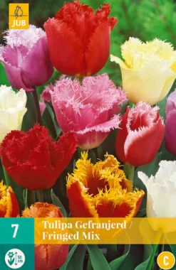 ohgreen Bloembollen|Ecocheques|7 tulipa gefranjerd mix