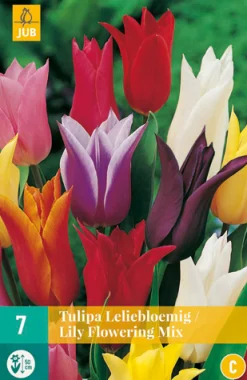 ohgreen Bloembollen|Ecocheques|7 tulipa leliebloemig mix