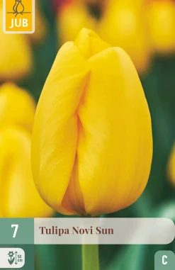 ohgreen Bloembollen|Ecocheques|7 tulipa novi sun
