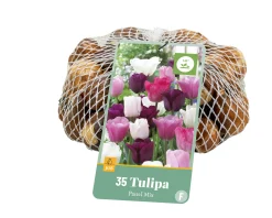 ohgreen Bloembollen|Ecocheques|35 tulipa pastel mix