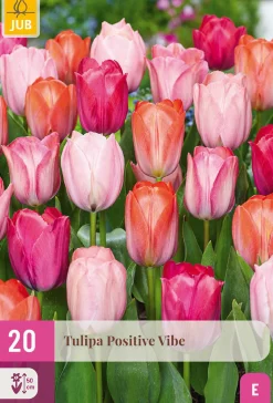 ohgreen Bloembollen|Ecocheques|20 tulipa positive vibe