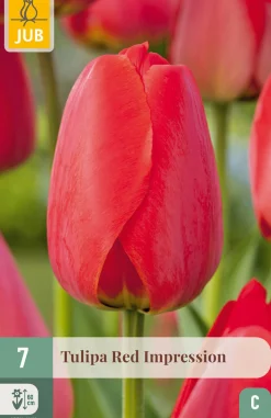 ohgreen Bloembollen|Ecocheques|7 tulipa red impression