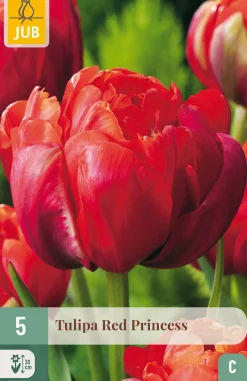 ohgreen Bloembollen|Ecocheques|5 tulipa red princess