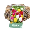 ohgreen Bloembollen|Ecocheques|35 tulipa triumph mix