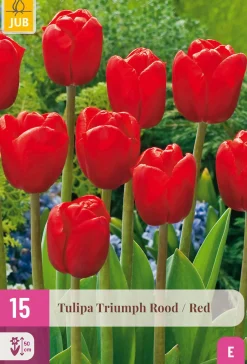 ohgreen Bloembollen|Ecocheques|15 tulipa triumph rood