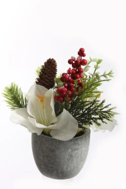 ohgreen Kerstdecoratie|Amaryllis arrangement in pot