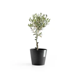 ohgreen Kunststof|Ecocheques|Amsterdam 20cm donkergrijs met waterreservoir