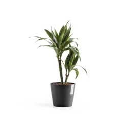 ohgreen Kunststof|Ecocheques|Amsterdam 20cm donkergrijs met waterreservoir