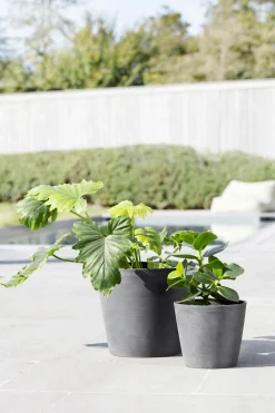 ohgreen Kunststof|Ecocheques|Amsterdam 20cm grijs met waterreservoir