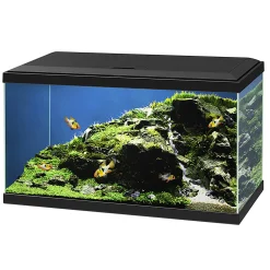 ohgreen Aquaria|Aquarium aqua 60 led bio cf150