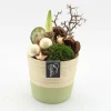 ohgreen Najaar|Ecocheques|Arrangement kerst Amaryllis