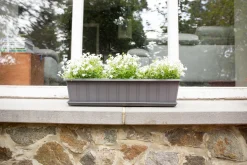 ohgreen Kunststof|Ecocheques|Balkonbak Super 80 cm Antraciet